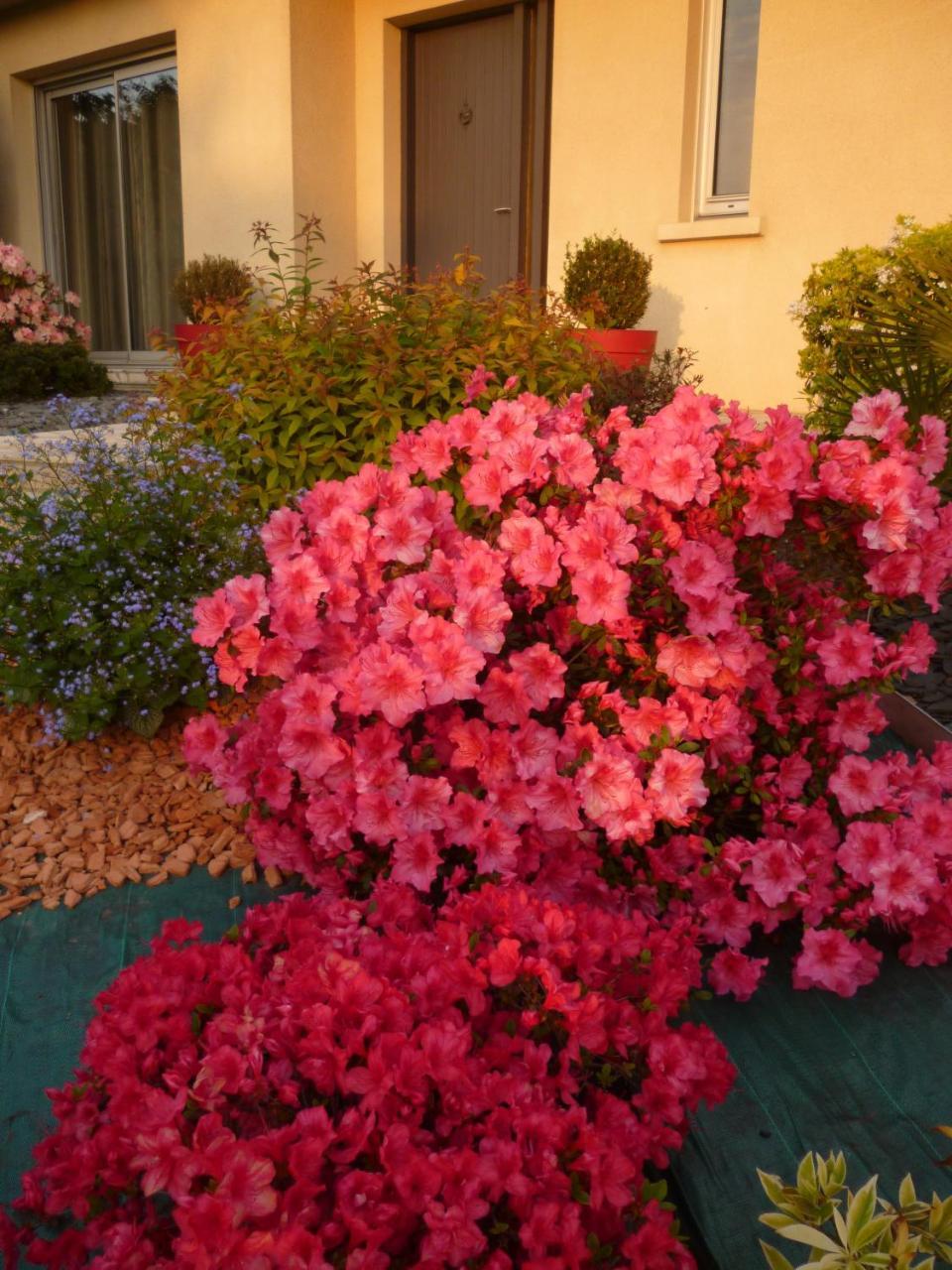 Bed and Breakfast Chez Bernard Et Nicole Betton Exterior foto